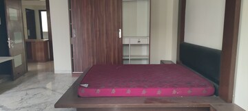 4 BHK Apartment For Rent in Banjara Hills