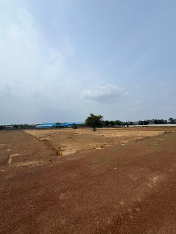  Plot For Sale in Mandir Hasaud