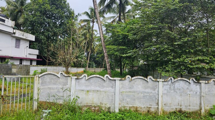 Garden, mundoor  3921 Sq.Ft. Plot In Mundoor Thrissur 8970690