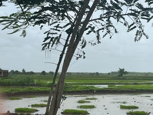  Plot – Exterior View View at Vashi - for Sale