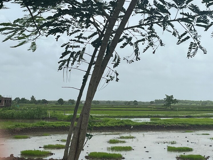 Exterior View, vashi  1089 Sq.Ft. Plot In Vashi Navi Mumbai 8970771