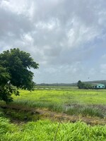 1089 Sq.Ft. Plot in Khopta Township 