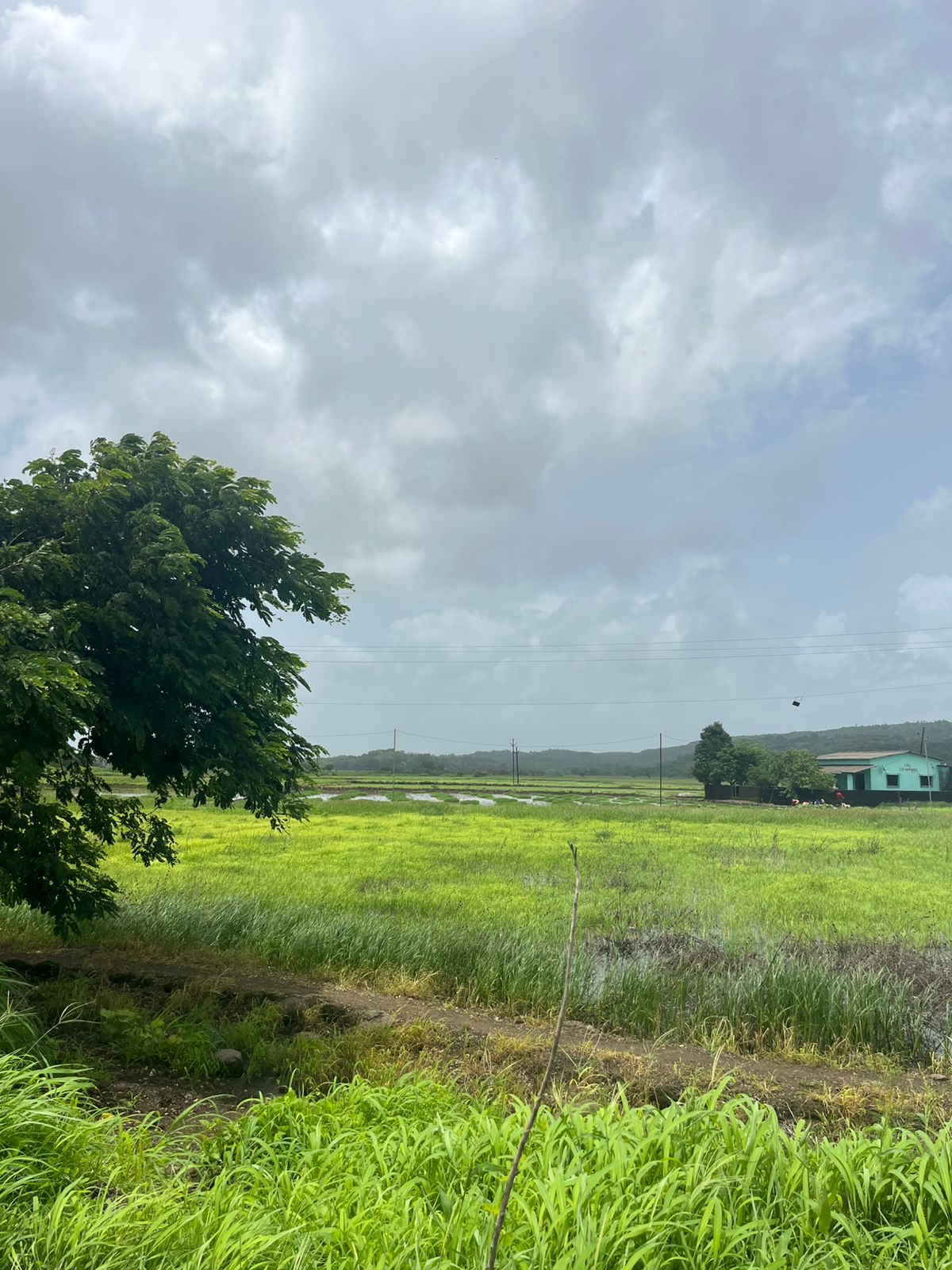 Plot For Sale in Khopta Township 