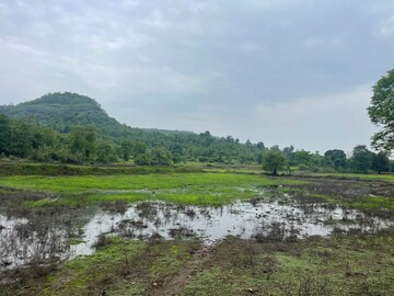 Plot Area in  Plot at Vashi – for Sale