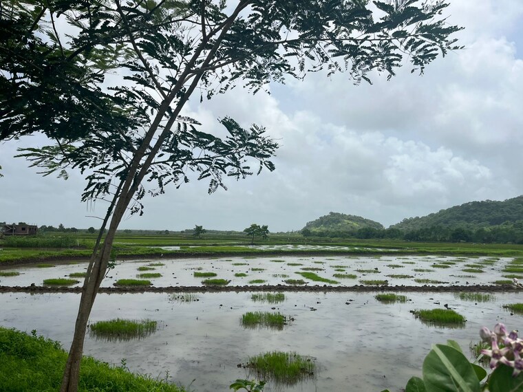 undefined, vashi  1089 Sq.Ft. Plot In Vashi Navi Mumbai 8970771