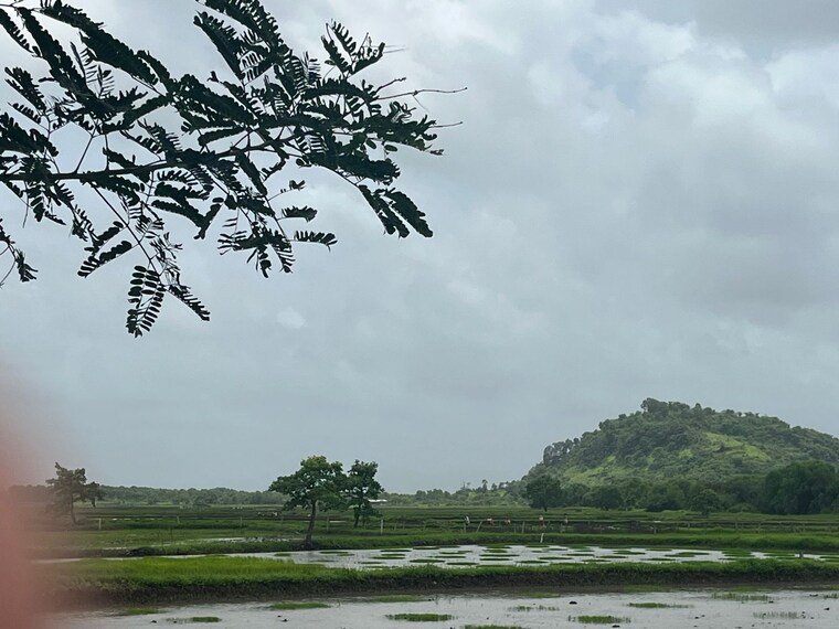 Exterior View, vashi  1089 Sq.Ft. Plot In Vashi Navi Mumbai 8970771