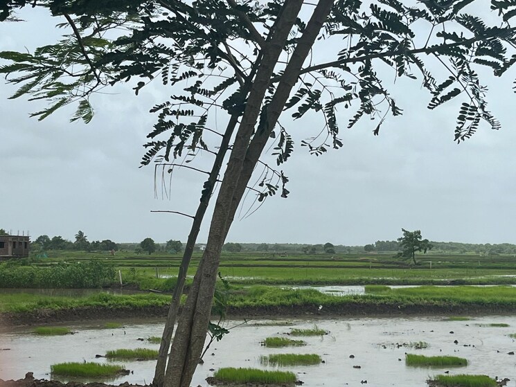 Exterior View, vashi  1089 Sq.Ft. Plot In Vashi Navi Mumbai 8970771