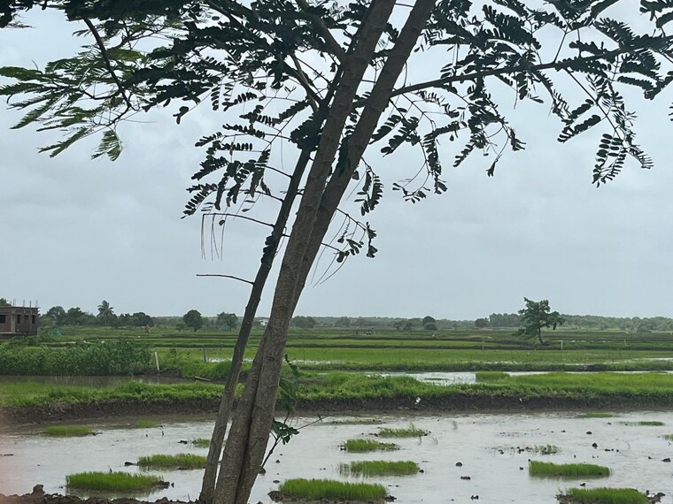 Exterior View, vashi  1089 Sq.Ft. Plot In Vashi Navi Mumbai 8970771