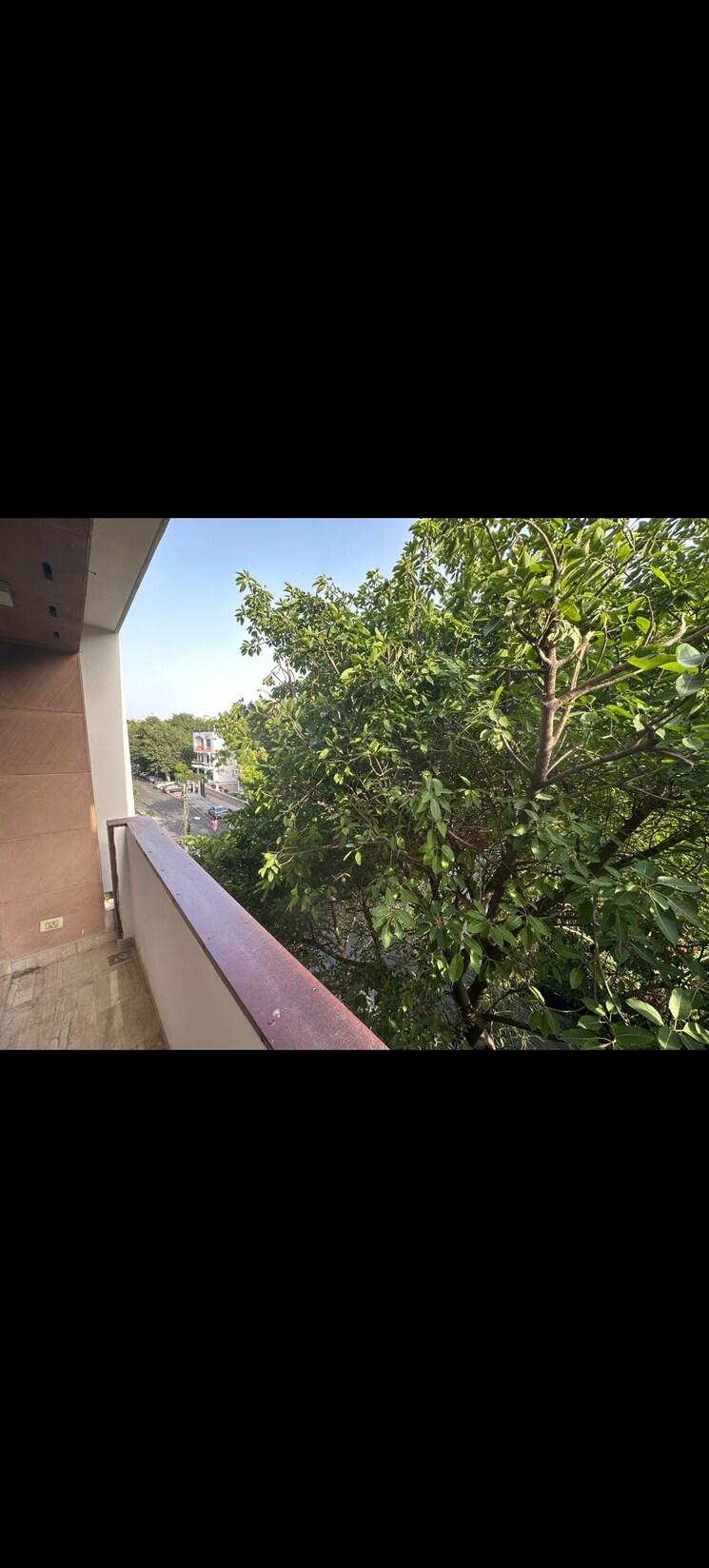 Balcony, safdarjung development area 4 Bedroom 500 Sq.Yd. Builder Floor In Safdarjung Development Area Delhi 8971083