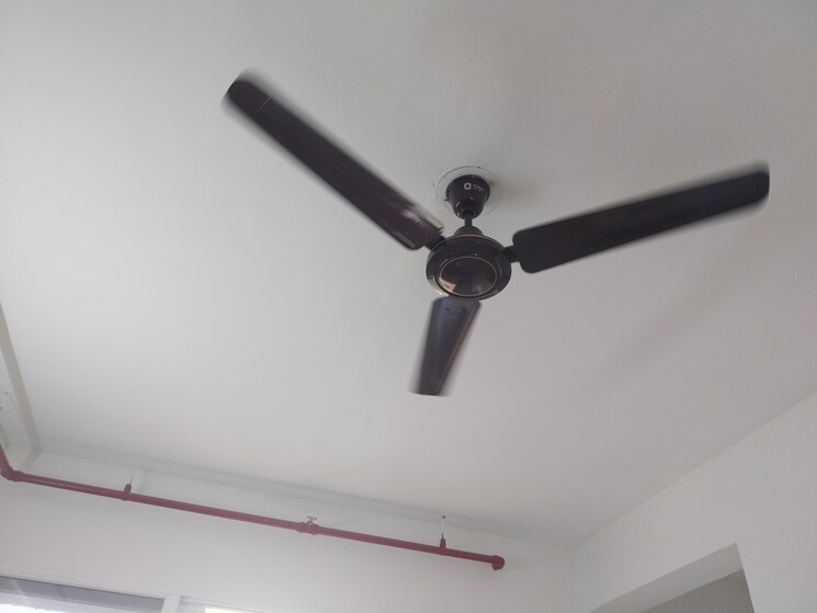 undefined, signature-global-golf-greens 1 Bedroom 455 Sq.Ft. Apartment In Sector 79 Gurgaon 8971122