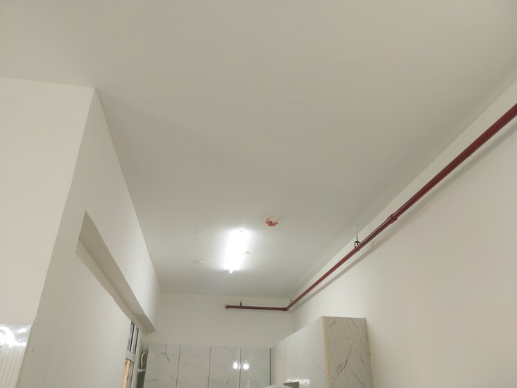 undefined, signature-global-golf-greens 1 Bedroom 455 Sq.Ft. Apartment In Sector 79 Gurgaon 8971122