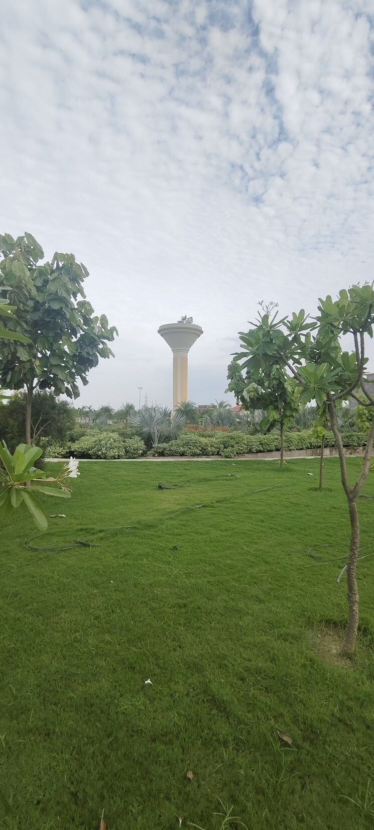 Garden, mastemau  1746 Sq.Ft. Plot In Mastemau Lucknow 8971335