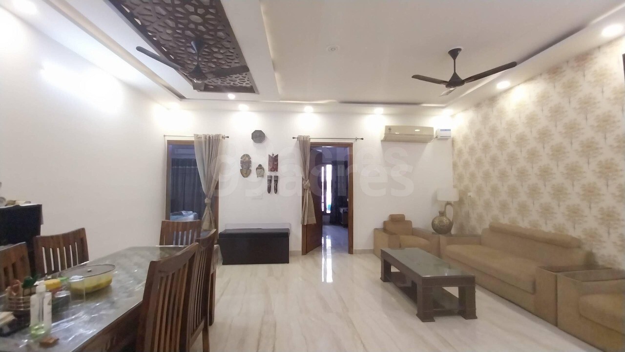 4 BHK + Pooja Room Builder Floor For Rent in Sector 14 Faridabad