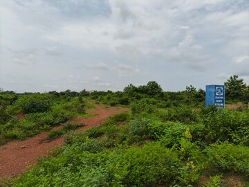 Plot Area in  Plot at Chandaka – for Sale
