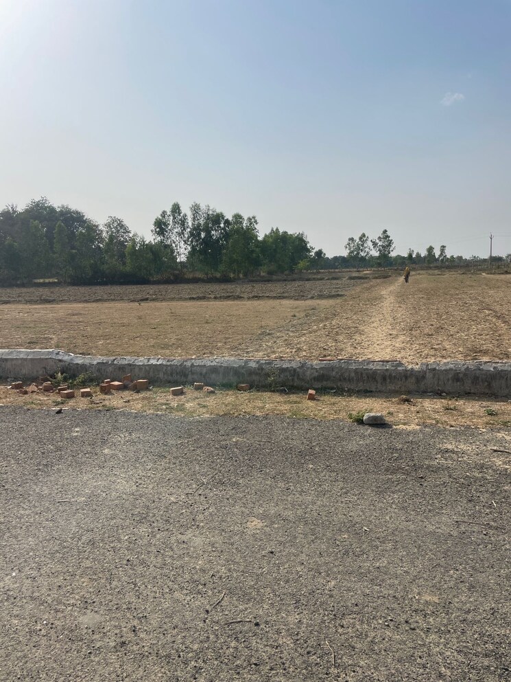 undefined, panchvati-lucknow  1000 Sq.Yd. Plot In Gosainganj Lucknow 8971651