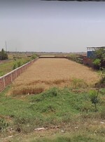 20415 Sq.Ft. Plot in East West School Bela Siw