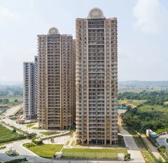 2 BHK Apartment For Sale in AIPL The Peaceful Homes