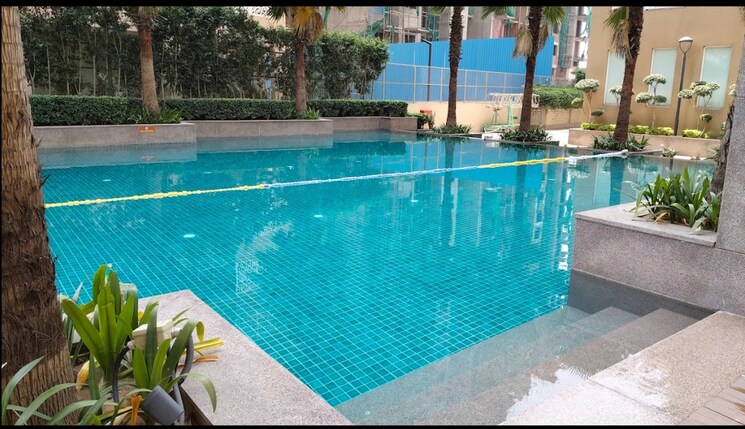 Swimming Pool, aipl-the-peaceful-homes 2 Bedroom 1565 Sq.Ft. Apartment In Sector 70a Gurgaon 8971854