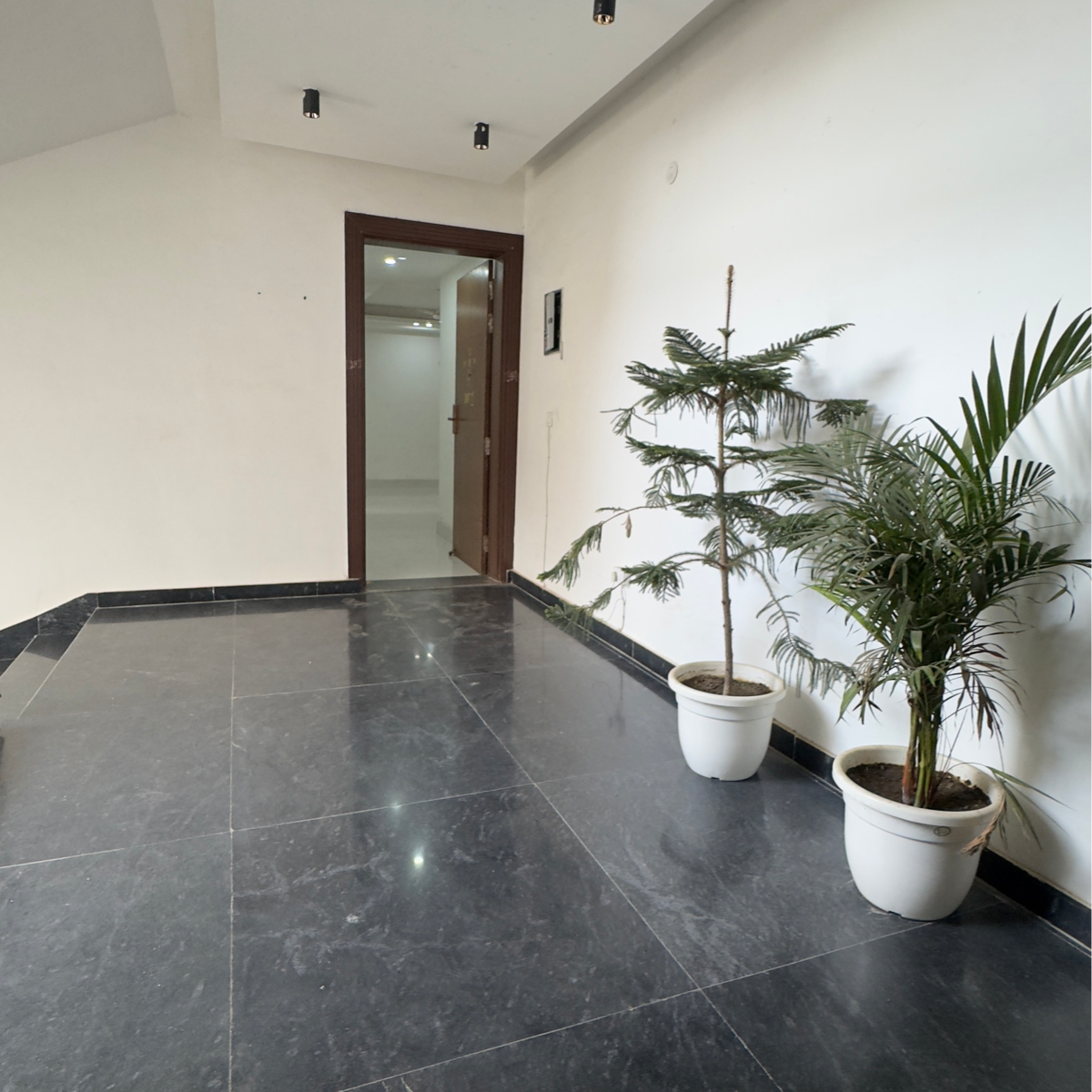 3 BHK + Pooja Room Builder Floor For Rent in Chhattarpur Enclave 