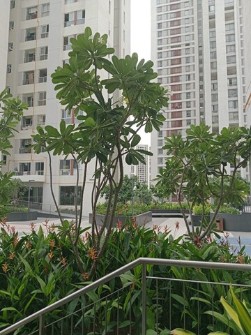 Balcony in 2 BHK Apartment at Piramal Vaikunth, Balkum Pada – for Rent