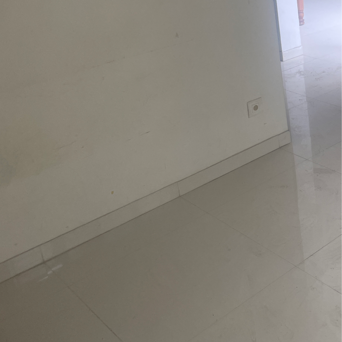 1 BHK Apartment For Rent in Casa Imperia