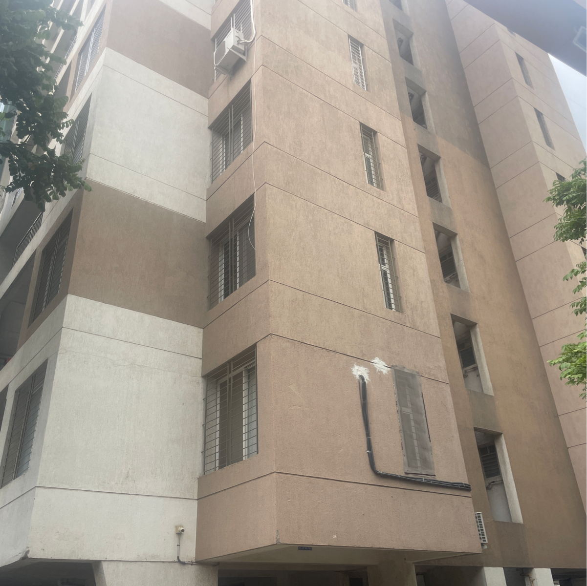 1 BHK Apartment For Rent in Legacy Bellezza