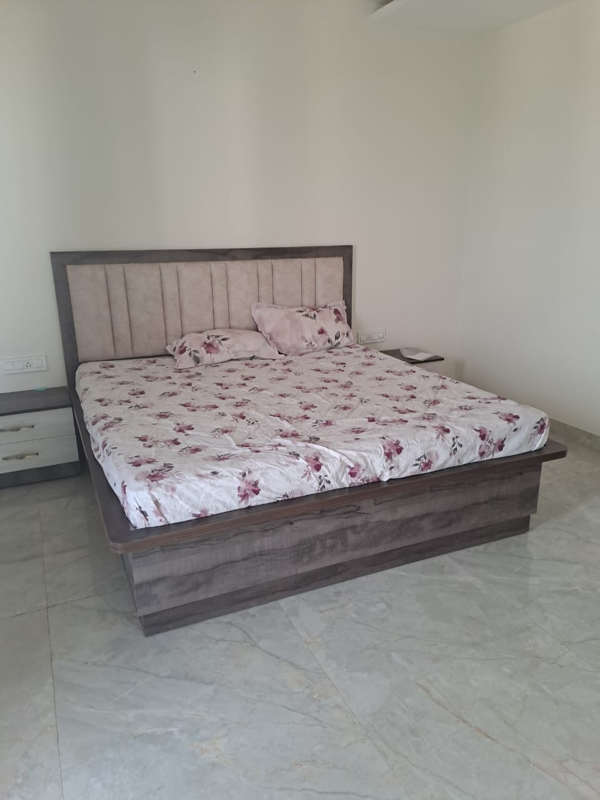 3 BHK Builder Floor For Rent in Sector 16