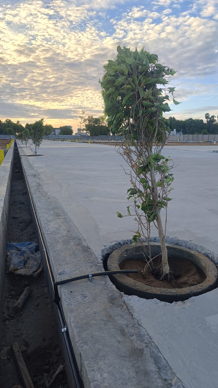 Exterior View, panjappur  1600 Sq.Ft. Plot In Panjappur Trichy 8972398