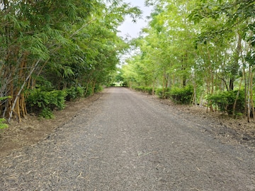 Plot Area in  Plot at By The Lake, Shirwal – for Sale