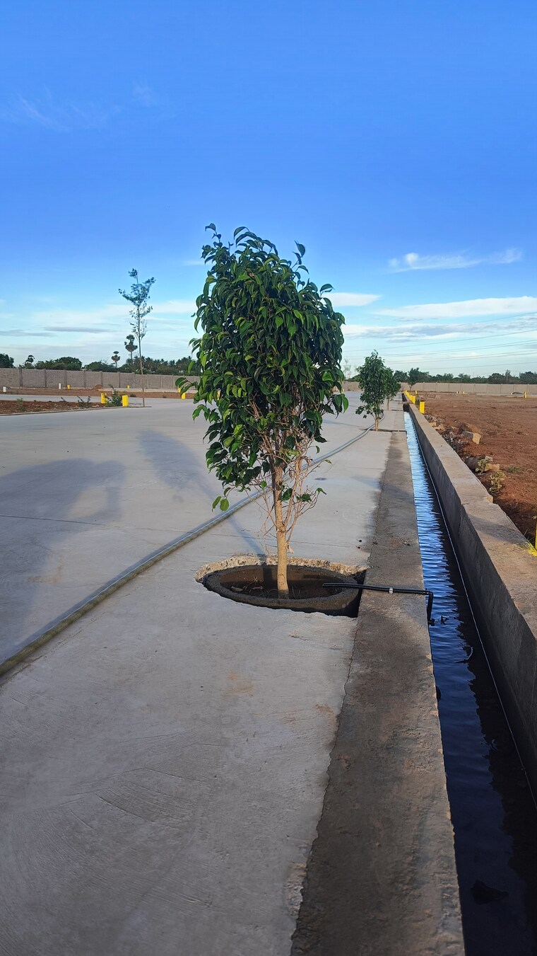 Exterior View, kk nagar  1375 Sq.Ft. Plot In Kk Nagar Trichy 8972669