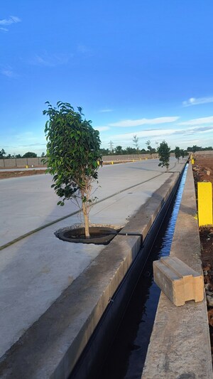  Plot – Exterior View View at Kk Nagar - for Sale