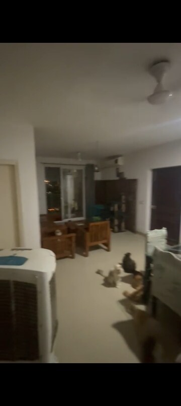 Living Room in 3 BHK Apartment at Emaar Gurgaon Greens, Sector 102 – for Sale