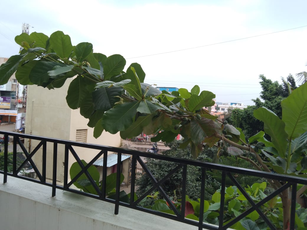 1 BHK + Pooja Room Apartment For Rent in Ganga Puram CHS