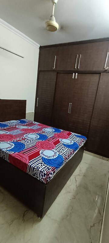 1.5 BHK Builder Floor For Rent in Chittaranjan Park