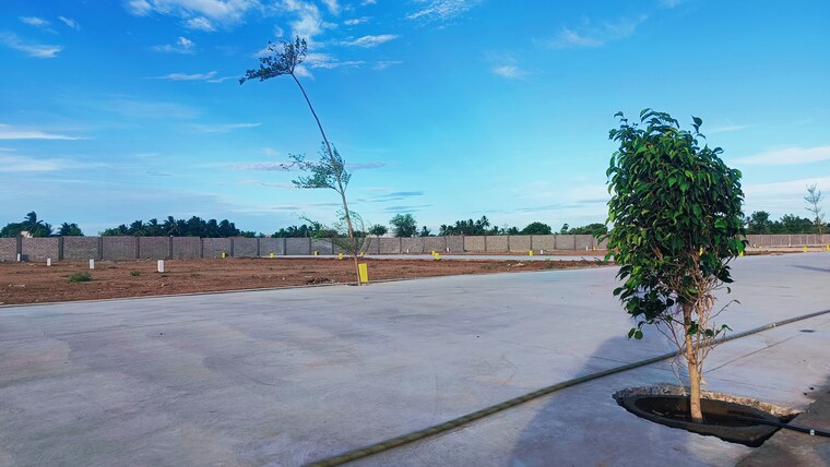 Exterior View, panjappur  1200 Sq.Ft. Plot In Panjappur Trichy 8973165