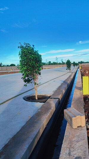  Plot – Exterior View View at Panjappur - for Sale