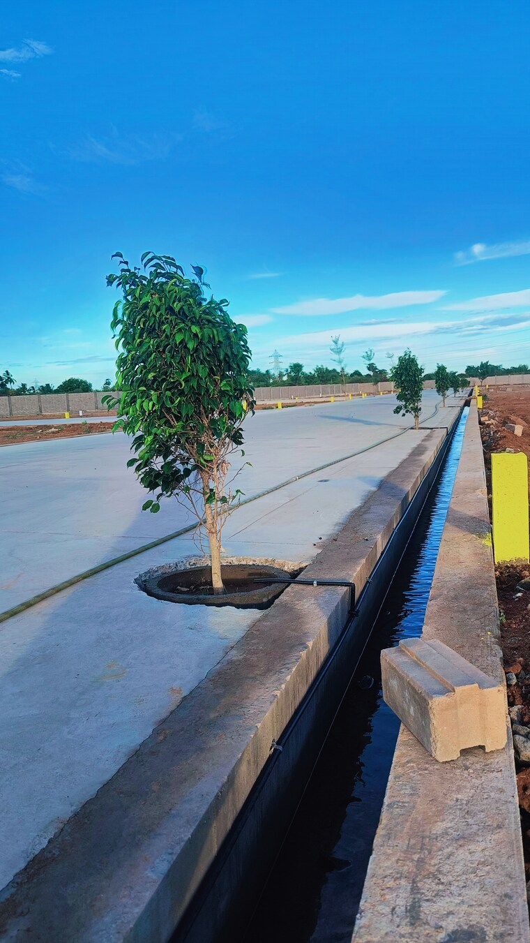 Exterior View, panjappur  1200 Sq.Ft. Plot In Panjappur Trichy 8973165