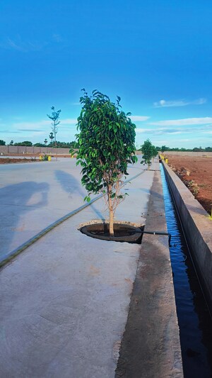  Plot – Exterior View View at Panjappur - for Sale