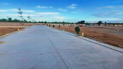 Plot For Sale in Panjappur