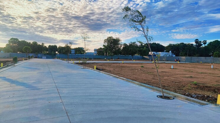 Exterior View, panjappur  1500 Sq.Ft. Plot In Panjappur Trichy 8973166