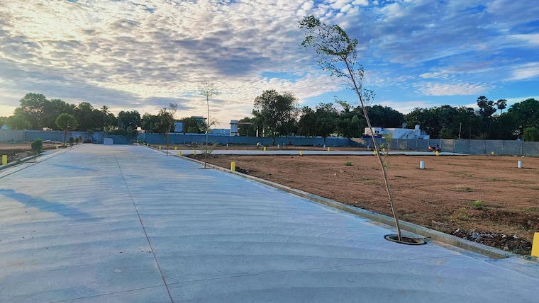 Exterior View, panjappur  1500 Sq.Ft. Plot In Panjappur Trichy 8973166