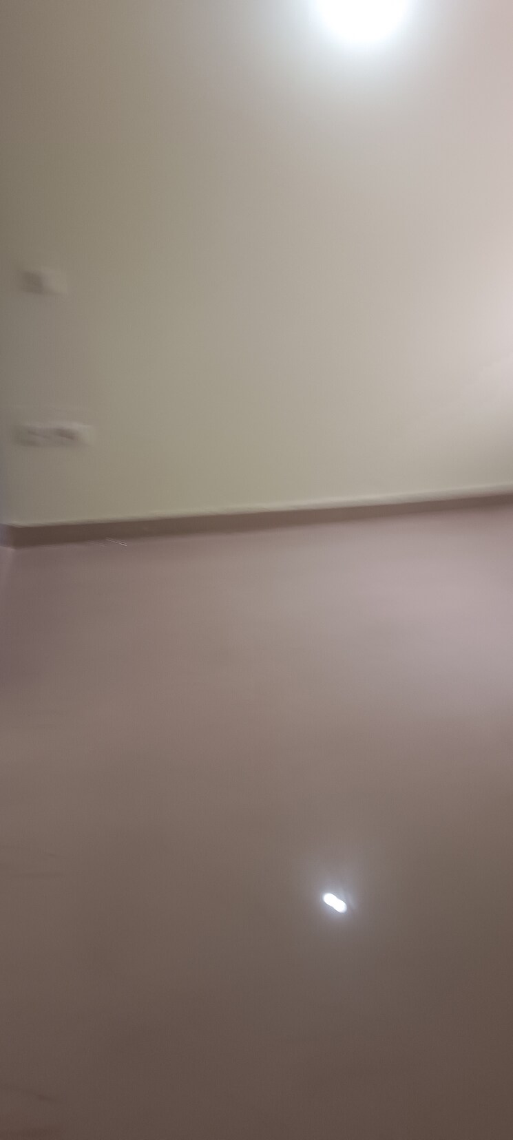 undefined, sector 16 1 Bedroom 800 Sq.Ft. Builder Floor In Sector 16 Faridabad 8973249