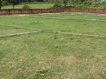 Plot Area in  Plot at Sherpur – for Sale