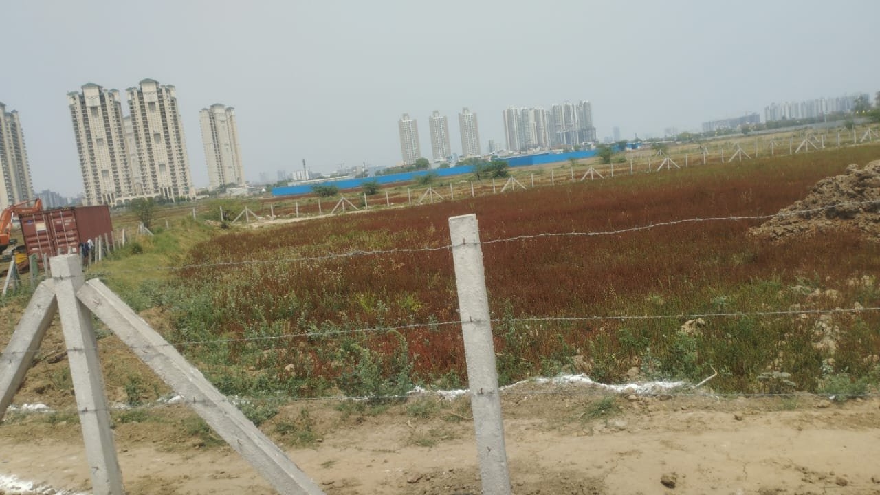Plot For Sale in IFI Green Park I