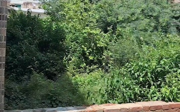 Plot For Sale in Sgpgi