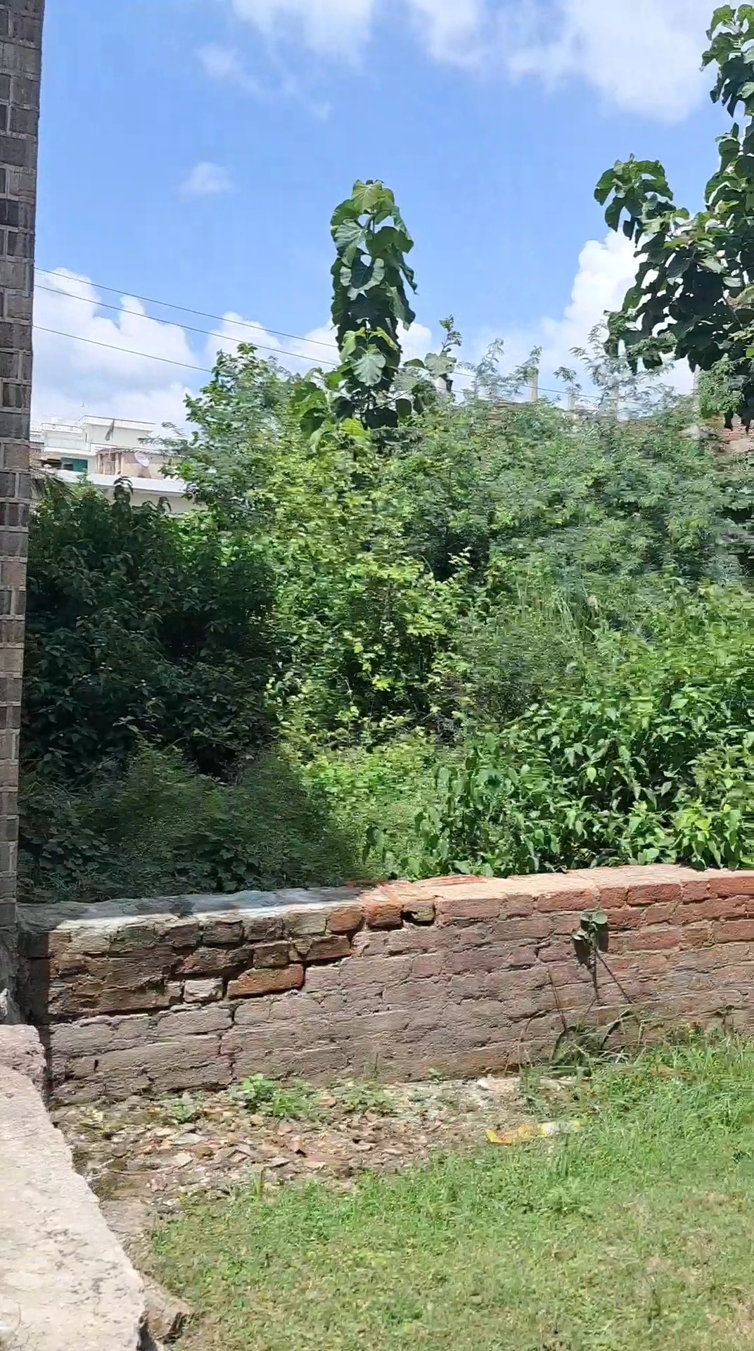 Plot For Sale in Construction Guru 