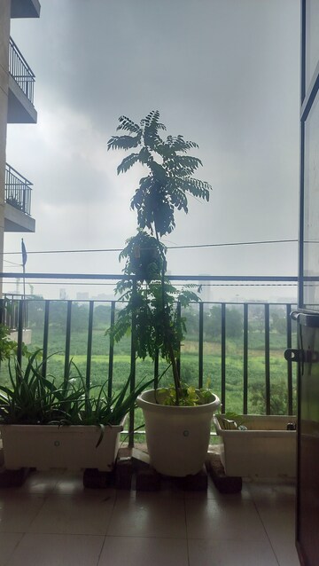 Balcony in 2 BHK Apartment at Signature Global Synera, Sector 81 – for Rent