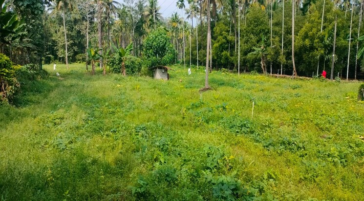 undefined, marathakkara  32670 Sq.Ft. Plot In Marathakkara Thrissur 8973913
