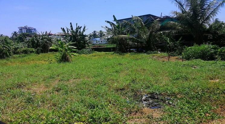 Garden, marathakkara  32670 Sq.Ft. Plot In Marathakkara Thrissur 8973913