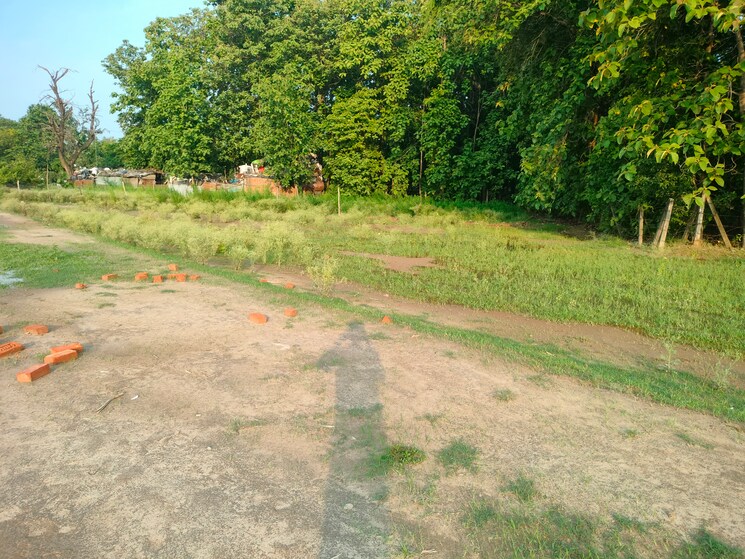 Garden, kalli paschim Commercial Land 25000 Sq.Ft. In Kalli Paschim Lucknow 8973950